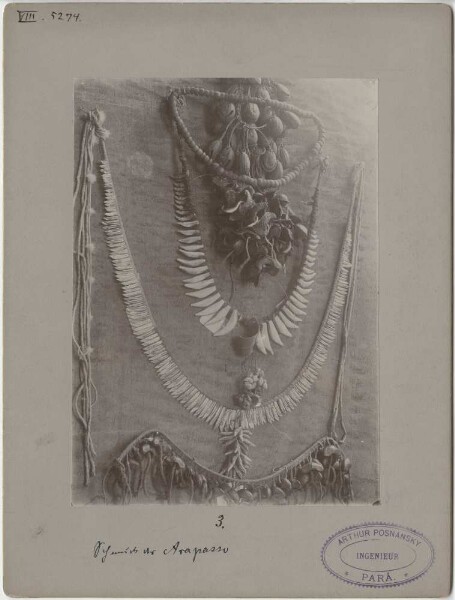 Jewellery of the Arapaso