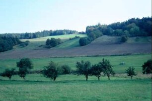 Wiesen, Bach, Obstbäume, Stufenraine