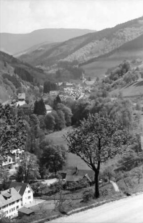 Bad Peterstal: Blick auf Pad Peterstal von der Höhe mit Baum und Straße