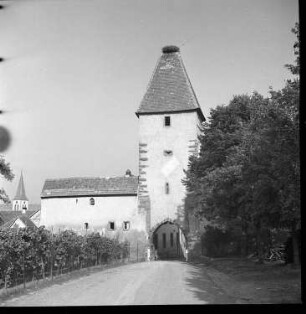 Ammerschweier bei Colmar, Sommer 1941