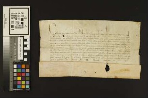 Mainz (Hl.Kreuz: Papst Clemens (V. ?)