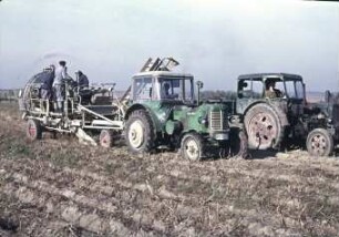 Kartoffelsammelroder Typ E 675 im Einsatz