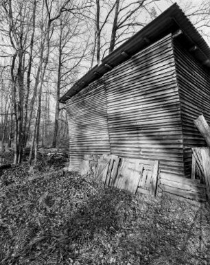 Barnitz/Elbe, Wendland, Deutschland, 2003