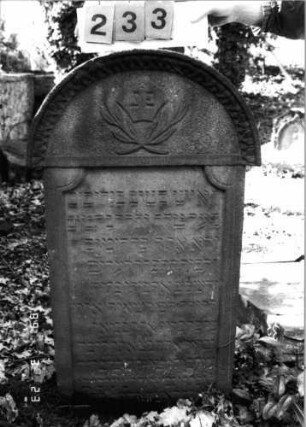 Grabstein 233 (Index: 99791576) Material: gelblicher Sandstein Zustand: stark verwittert Maße HxBxT: 114x64x16 cm Besonderheit: kulturhistorisch wertvoll / hist.-wiss. Gründe (Gemeindestellung); - siehe freie Kommentierung: Grabstein 233