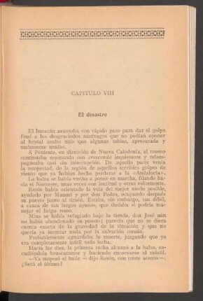Capítulo VIII - El desastre