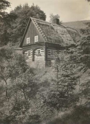 Nieder-Lichtenwalde . Umgebindehaus mit Strohdachdeckung, am Berghang gelegen