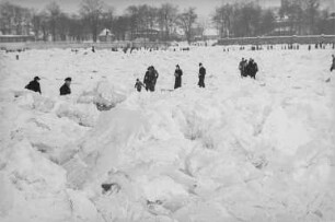 Dresden. Vereiste Elbe bei "Antons"