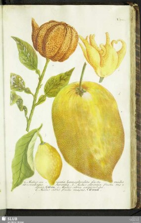 N. 701 - 750