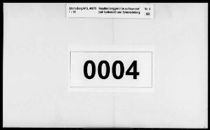 Schmiedeberger Bergbuch