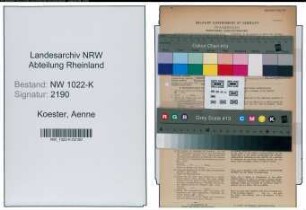 Entnazifizierung Aenne Koester , geb. 30.08.1905 (Kaufmaennische Angestellte)