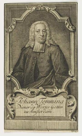 Bildnis des Johann Temming