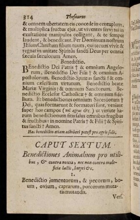 314-343, Caput Sextum