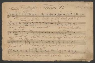 9 Musikstücke; Coro maschile