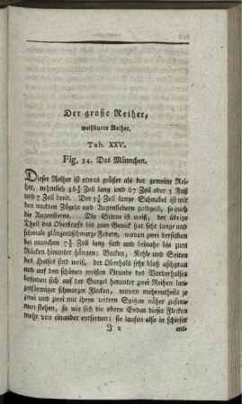 Der große Reiher,