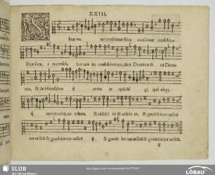 XXIII Sicut mater consolatur filios