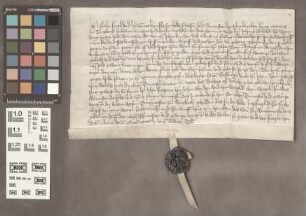 Butzbach: Kaufbrief über das von den Baumeistern der Pfarrkirche Sankt Mariens zu Butzbach verkaufte Haus bei der Grindeler Pforte an Johann Bern ...