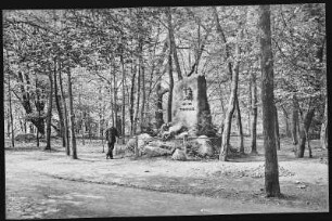Nordhausen. Vater Jahn Gedenkstein