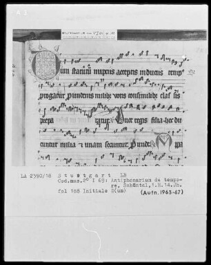 Antiphonarium de Tempore (Zisterzienserhandschrift) — Initiale D (um), Folio 188 recto
