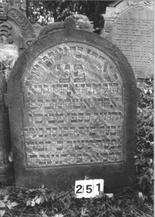 Grabstein 251