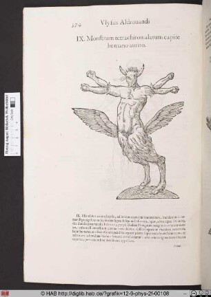 Monstrum tetrachiron alatum capite humano aurito.