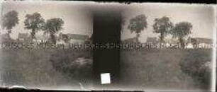 Ruine