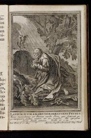Lapsum suum amaro dolore lugens Petrus.