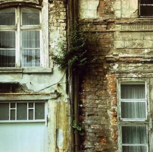 Greifswald - Verfall im Zentrum : Hausruinen in Greifswald. Aufgenommen in der DDR