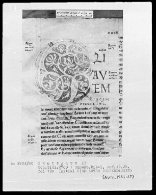 Bibel — Initiale C (um autem descendisset), Folio 19 verso