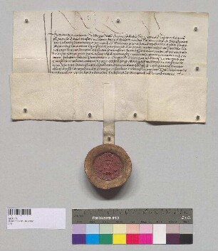 Erzbischof Friedrich [II.] von Salzburg bestätigt Abt Franziskus von Kloster Seeon die Ausübung der kirchlichen Sakramente sowie die Pfarrrechte in der außerhalb von Kloster Seeon gelegenen Kapelle St. Walpurgis sowie alle Rechte an der Pfarrei Obing. S: Erzbischof Friedrich II. von Salzburg