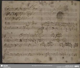 Recitativo: Corona gloriae