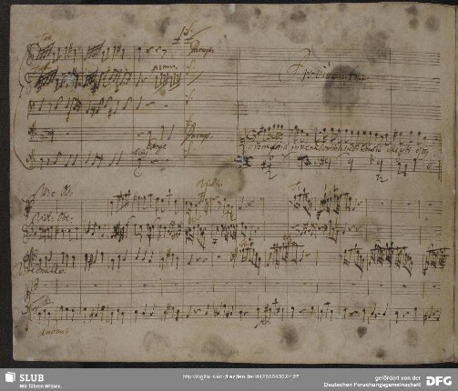 Recitativo: Corona gloriae
