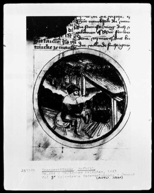 Hs. 494 & deutscher Kalender & fol 3v