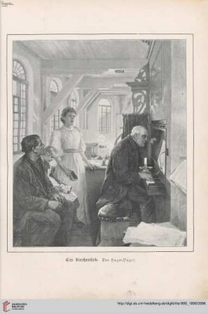 [Heft 5 (1. Dezember 1895)]