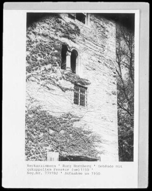 Fenster (Bauelement)