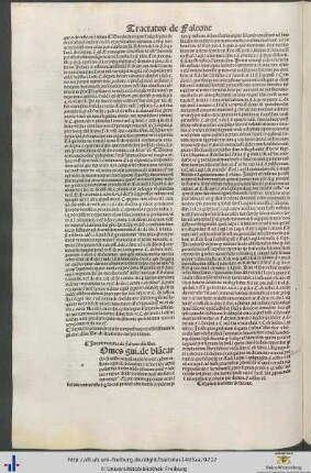 Tractatus de Falcone domini Bartoli