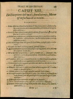 Caput XIII. De Exceptione doli mali, simulationis, Metus, et in factum ob errorem.