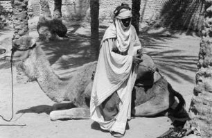 Beladen eines Dromedars : Ein Tuareg belädt sein Dromedar
