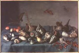 Muschelwerk