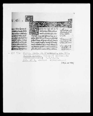 Biblia Latina: Fol. 47 v.: Initiale L