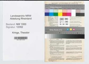 Entnazifizierung Theodor Krings, geb. 27.10.1907 (Kaufmann)