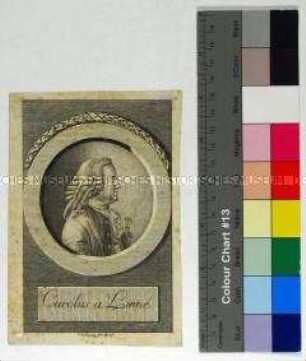 Porträt des schwedischen Arztes und Naturforschers Carl von Linné