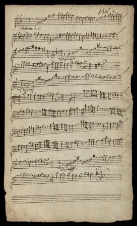 Viol. 1