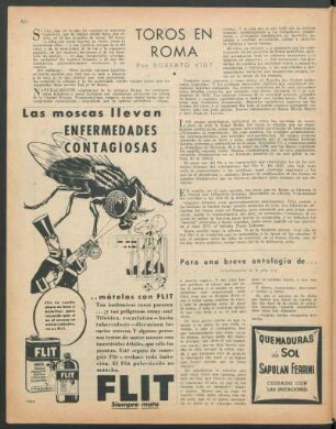 Toros en Roma