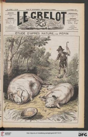 Nr. 343 (4 Novembre 1877)
