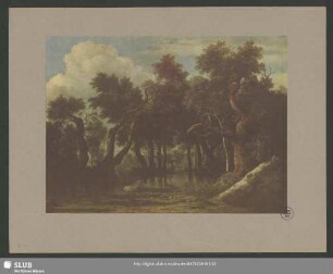 18. Jacob van Ruisdael: Der Sumpf