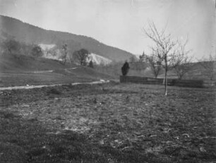 Landschaftsblick : Blick auf bewaldete Hänge und Wiesen. Im Hintergrund eine Burg
