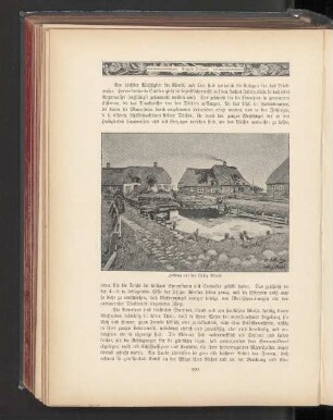 Fething auf der Hallig Oland.