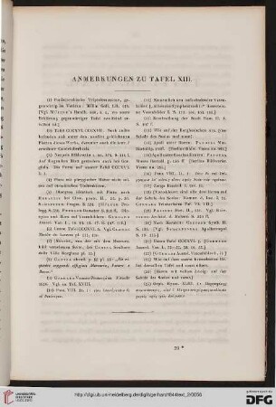 Anmerkungen zu Tafel XIII