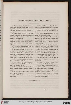 Anmerkungen zu Tafel XIII