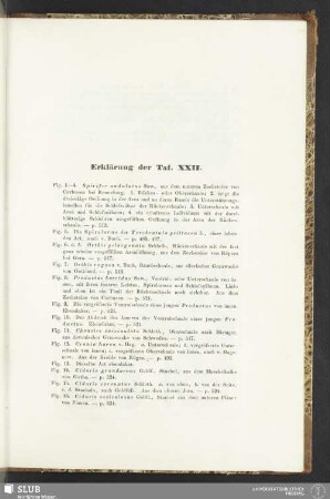 Erklärung der Taf. XXII